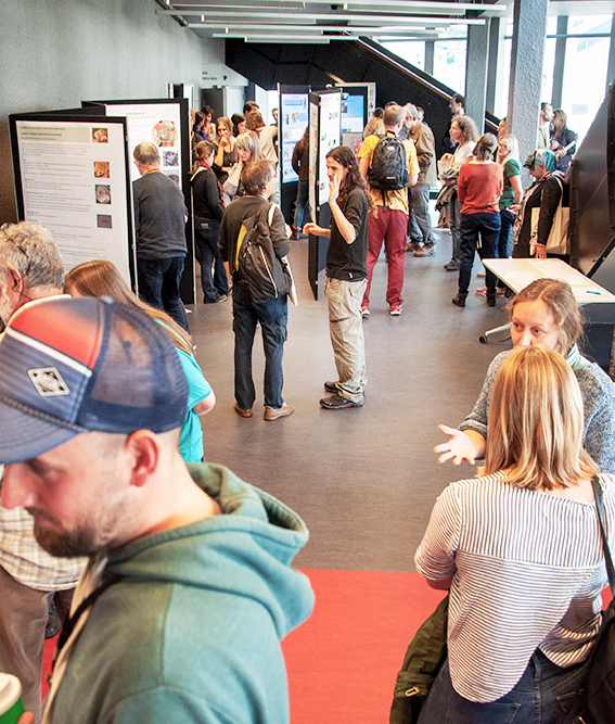 Poster session at IDC2017 (Photo: Dennis Wansink)